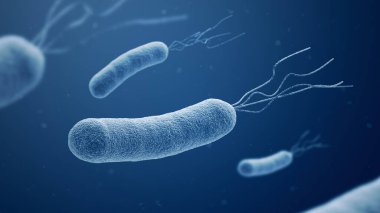 Helicobacter pillori. Bakteriler. Bakteri. 3d illüstrasyon.