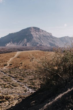 Güneşli bir günde çöldeki volkanik kaya oluşumlarının manzarası, Teide Ulusal Parkı, Tenerife