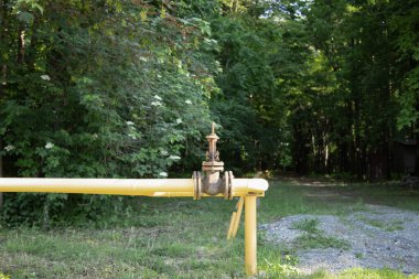  Sarı gaz boru hattı yeşil ormandan geçiyor