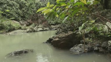 Yağmur ormanlarında akarsu, Borneo Malezya