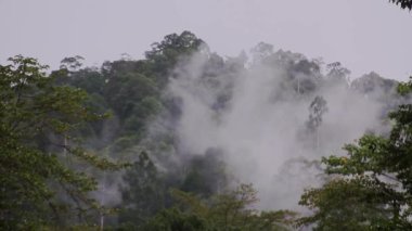 Palm Petrol Fabrikaları, Malezya, Borneo
