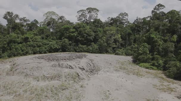 Tabin野生动物保护区Mud Vulcano全景视图 — 图库视频影像