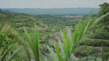 Palm Petrol Fabrikaları, Malezya, Borneo