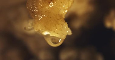 Close-up macro shot of ice stalactites melting, water droplets