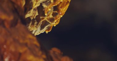 Water Drips Off Stalactite