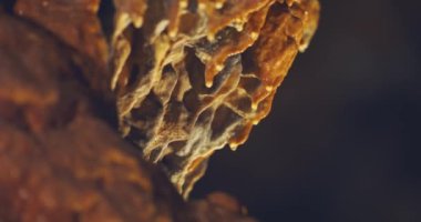 Water Drips Off Stalactite