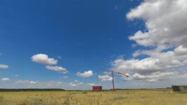 Herd Of Bubalus Bubalis (Water Buffalo) , Close Up, Slow motion Image