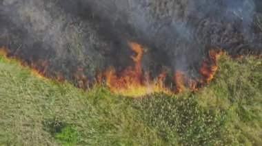 Tarım Alanı Açık Ateş Altında Yukarıdan, Hortobagy Ulusal Parkı, Orta Avrupa, Macaristan