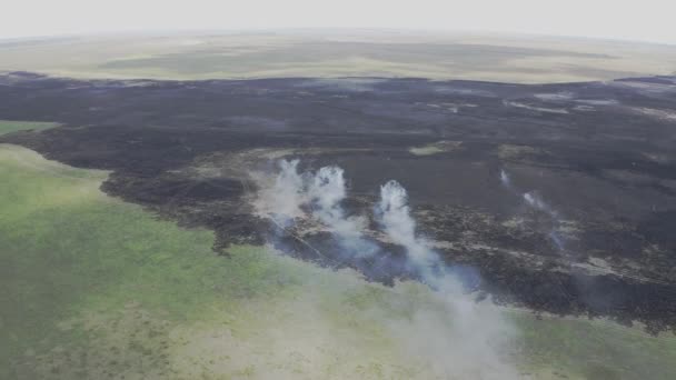 匈牙利的Burnt农业用地 — 图库视频影像