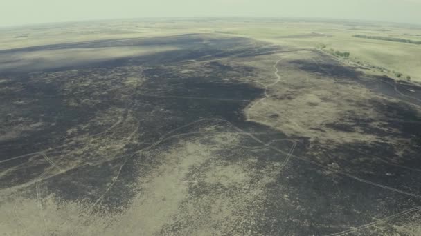 Burning Scorched Dry Fields Hortobagy National Park Hungary — 비디오