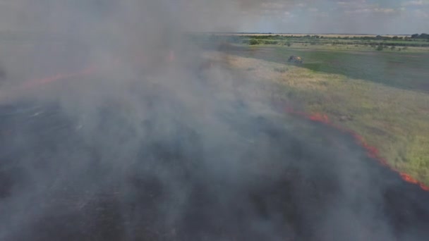 匈牙利中欧Hortobagy国家公园 带有浓烟的农田内的露天火势蔓延 — 图库视频影像