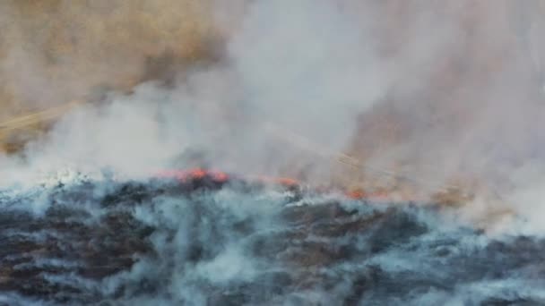 Gleba Spalona Gęstym Dymem Powyżej Park Narodowy Hortobagy Węgry Widok — Wideo stockowe