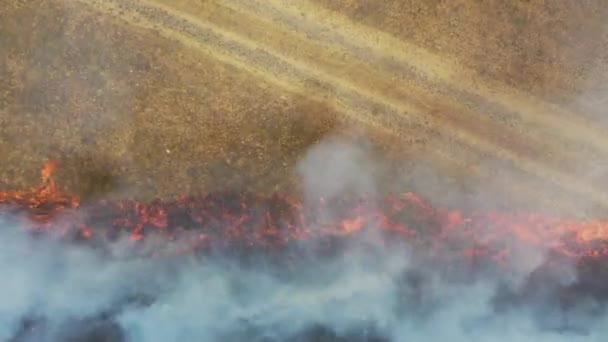불타는 헝가리 Hortobagy National Park Aerial View — 비디오