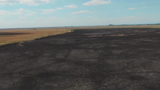 匈牙利Hortobagy国家公园焚烧和烧焦的干地的空中摄影 — 图库视频影像