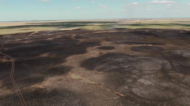 Fotografia Lotu Płonących Spalonych Suchych Pól Park Narodowy Hortobagy Węgry — Wideo stockowe
