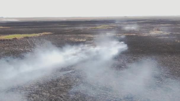 Fotografia Lotu Płonących Spalonych Suchych Pól Park Narodowy Hortobagy Węgry — Wideo stockowe