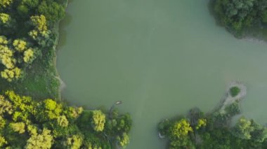 Beyaz Kuyruklu Kartal, Haliaeetus Albicilla, yuvadaki tüyler