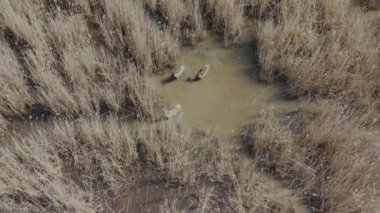 Kızıl Geyik Gölü geçiyor, Havadan görünüyor.