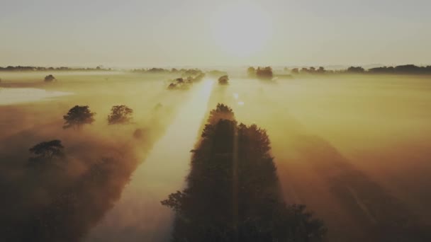 清晨的薄雾笼罩着平静的河流和运河 — 图库视频影像