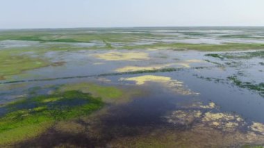 Güneş ışığının yansıttığı geniş genişlikteki su basmış bataklık bölgesi büyülü bir manzaradır. Hava görünümü resmi