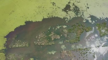 Bataklık, su basmış bölge. Bu bitki ve hayvan açısından zengin, eşsiz bir ekosistem. Hava görünümü