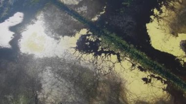 Güneş ışığının yansıttığı geniş genişlikteki su basmış bataklık bölgesi büyülü bir manzaradır. Hava görünümü