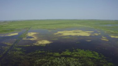 Doğal nehir, Hortobgy Kanalı, Macaristan, hava manzarası. Hortobgy 'nin Antika Nehir Kıvrımı