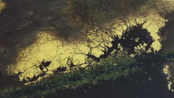 洪水泛滥的沼泽地带着广阔的水域 反射着阳光 这是一个迷人的景象 空中景观 — 图库视频影像