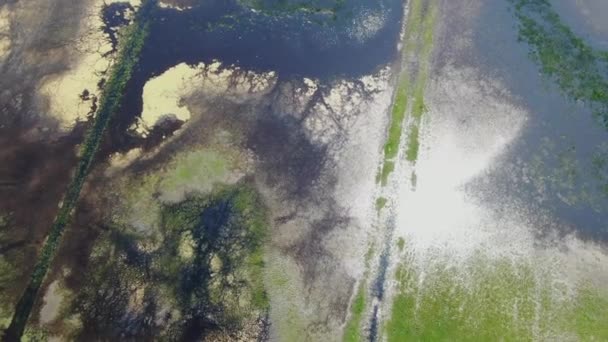 Área Pantanosa Inundada Com Sua Ampla Extensão Água Luz Solar — Vídeo de Stock