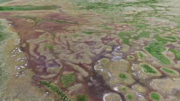 Saline Grasslands Steppe Grasslands Aerial View — Stock Video
