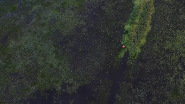 湿地の生息地 飛行鳥 空中ビュー — ストック動画