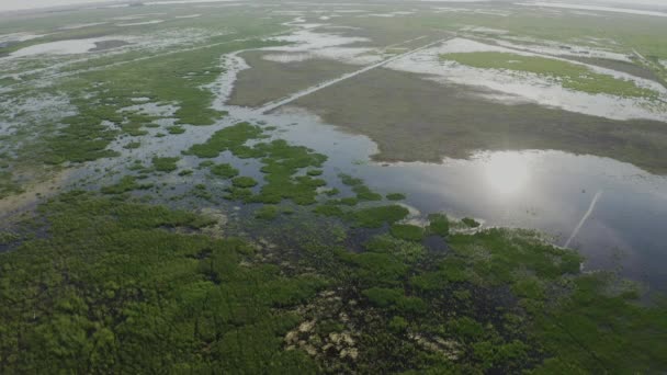 Área Pantanosa Inundada Ecossistema Único Rico Flora Fauna Vista Aérea — Vídeo de Stock
