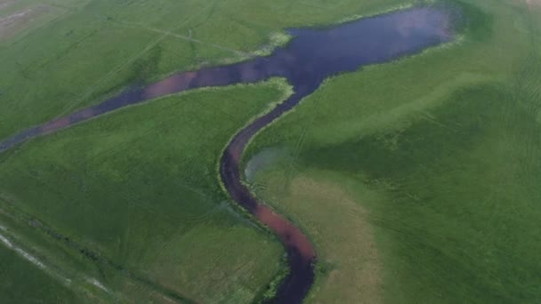 Rivière Naturelle Canal Hortobgy Hongrie Vue Aérienne Courbe Pittoresque Rivière — Video