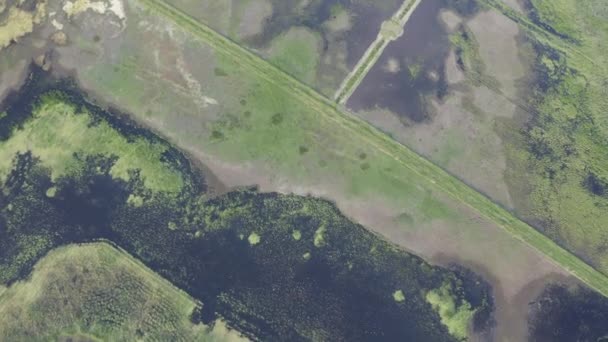 Bažinatá Zatopená Oblast Jedinečný Ekosystém Bohatý Flóru Faunu Letecký Pohled — Stock video