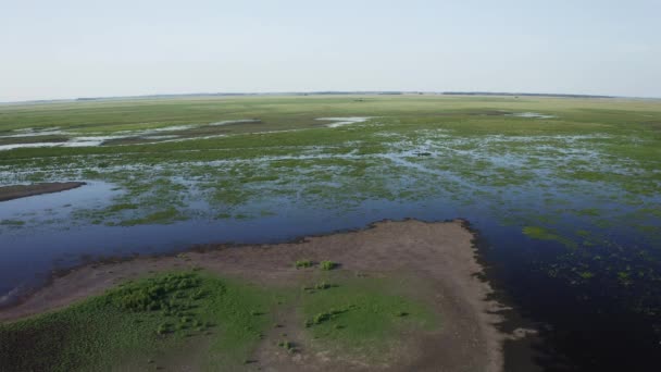 Área Pantanosa Inundada Ecossistema Único Rico Flora Fauna Vista Aérea — Vídeo de Stock