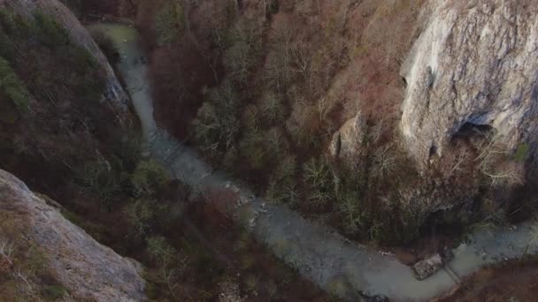 Cheile Vrghiului Vargis Gorge Persani Mountains Romania Aerial View — Stock Video