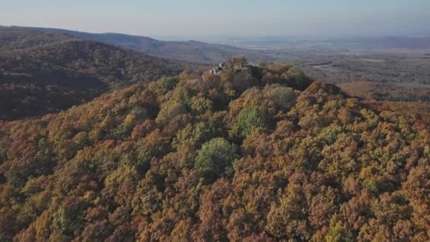 Luftaufnahme Der Ruinen Der Burg Drgely Hintergrund Der Wald Herbstlichen — Stockvideo