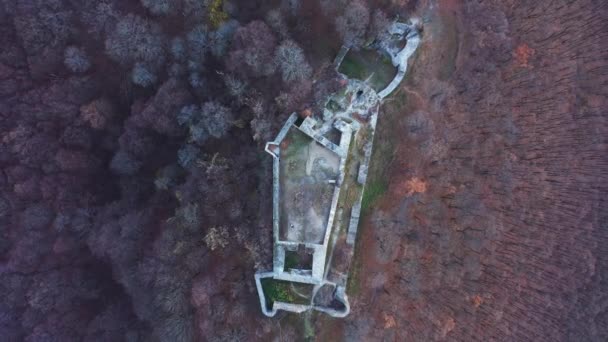 Luchtfoto Van Ruïnes Van Drgely Castle Herfst — Stockvideo
