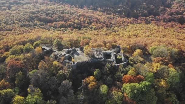 Vista Aérea Las Ruinas Del Castillo Drgely Con Bosque Colores — Vídeo de stock