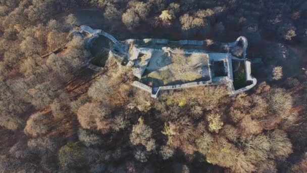 Αεροφωτογραφία Των Ερειπίων Του Κάστρου Drgely Φθινόπωρο — Αρχείο Βίντεο