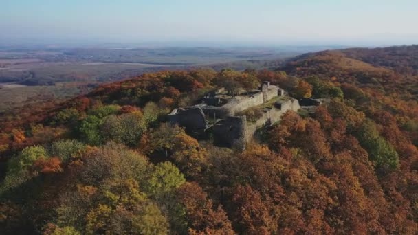 Αεροφωτογραφία Των Ερειπίων Του Κάστρου Drgely Δάσος Φθινοπωρινά Χρώματα Στο — Αρχείο Βίντεο