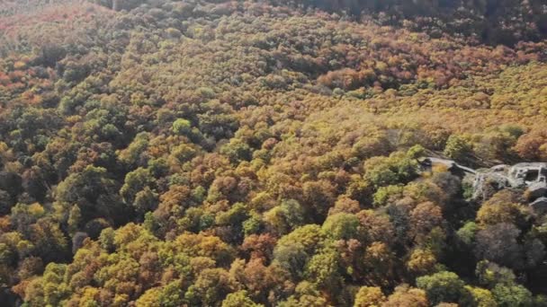 ドルゲリー城の遺跡の空中ビュー 背景にある秋の色の森 — ストック動画