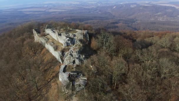 Luchtfoto Van Ruïnes Van Drgely Castle Herfst — Stockvideo