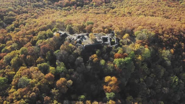 Luftaufnahme Der Ruinen Der Burg Drgely Hintergrund Der Wald Herbstlichen — Stockvideo
