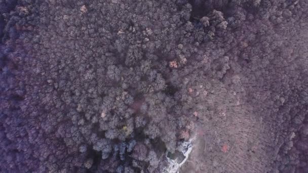 Letecký Pohled Zříceninu Hradu Drgely Podzim — Stock video
