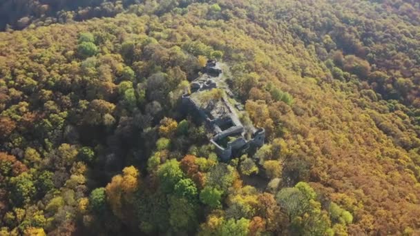 Вид Воздуха Руины Замка Drgely Фоне Леса Осенних Цветах — стоковое видео