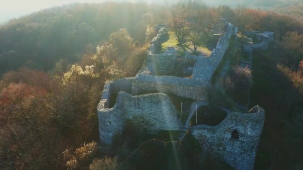 Luchtfoto Van Ruïnes Van Drgely Castle Herfst Drone Vliegen Rond — Stockvideo