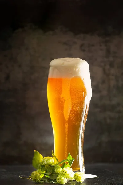 Glass Light Beer Foam Dark Background Bunches Green Hops Unfiltered — Stock Photo, Image