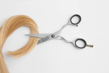 Scissors and piece of blond hair. Professional barber hair cutting shears on background. Hairdresser salon equipment concept, premium hairdressing set. Accessories for haircut with copy space