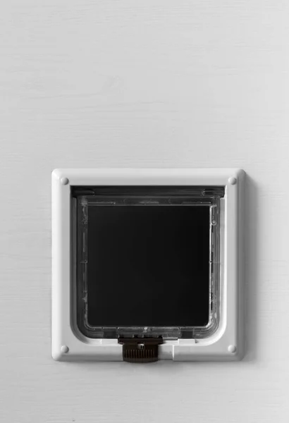 Белая Дверь Кошачьим Люком Клапаном Кошачьим Переходом Вмонтированным Дверь Квартиры — стоковое фото